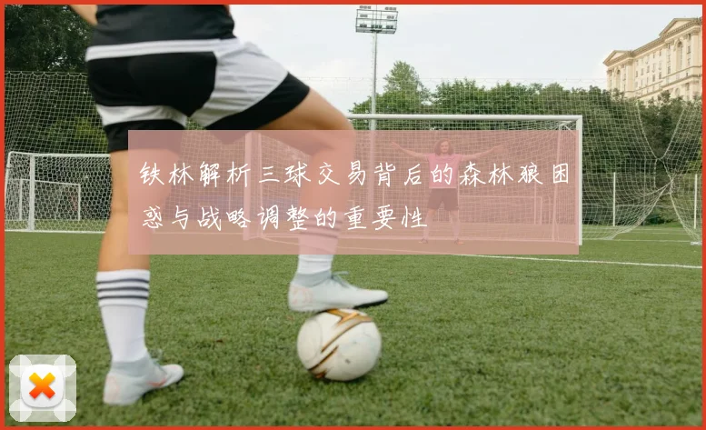 铁林解析三球交易背后的森林狼困惑与战略调整的重要性
